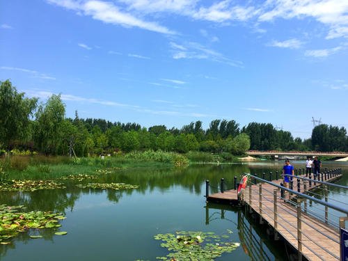 不出郑州旅游攻略,郑州五一游玩公园推荐