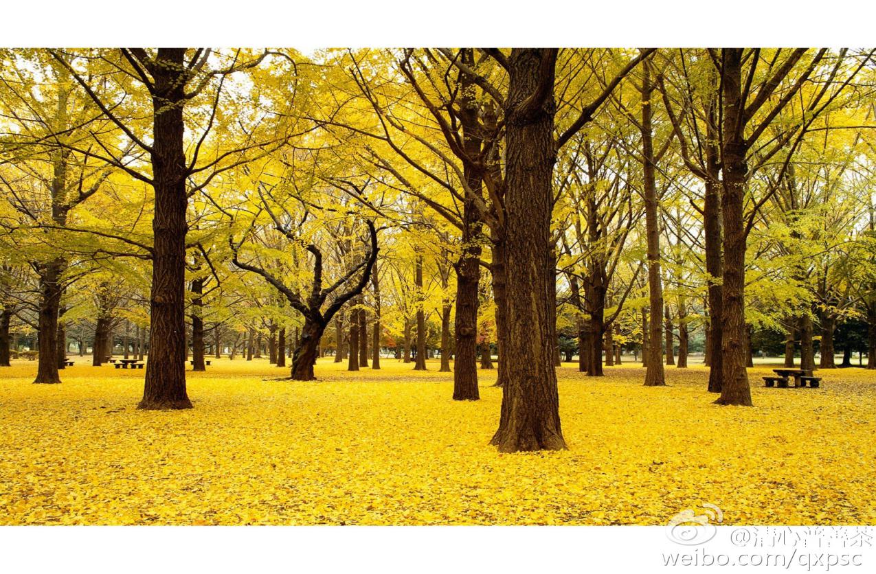 时间都去哪了？碎片化学习帮你加持