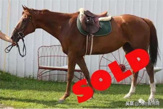 千万不要放弃一件事情,千万不要轻易的放弃