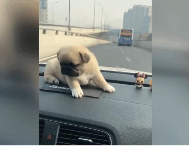 汽车安装音响有影响吗,汽车装电子狗违法吗