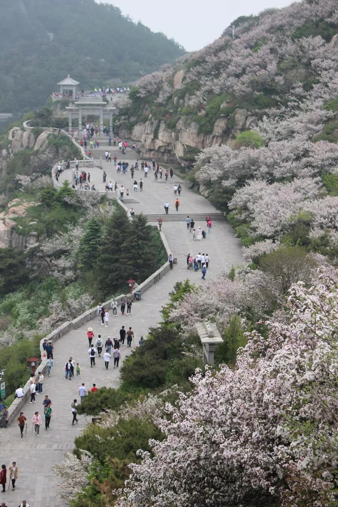 金德管业集团2009年新乡分公司,金德管业集团视频