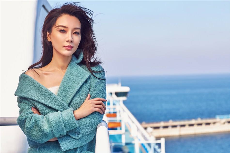 铁梨花演员陈数和巨兴茂什么关系,陈数主演的电视剧铁梨花还叫啥名