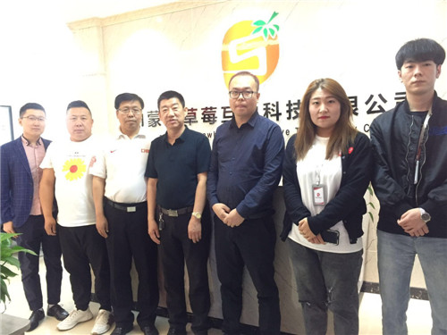 最新：中国观网与草莓互动强强联手共创辉煌