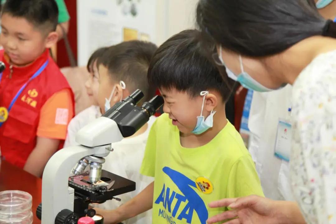 颠覆传统认知！“豆状元杯”走进金百合为“菌”正名