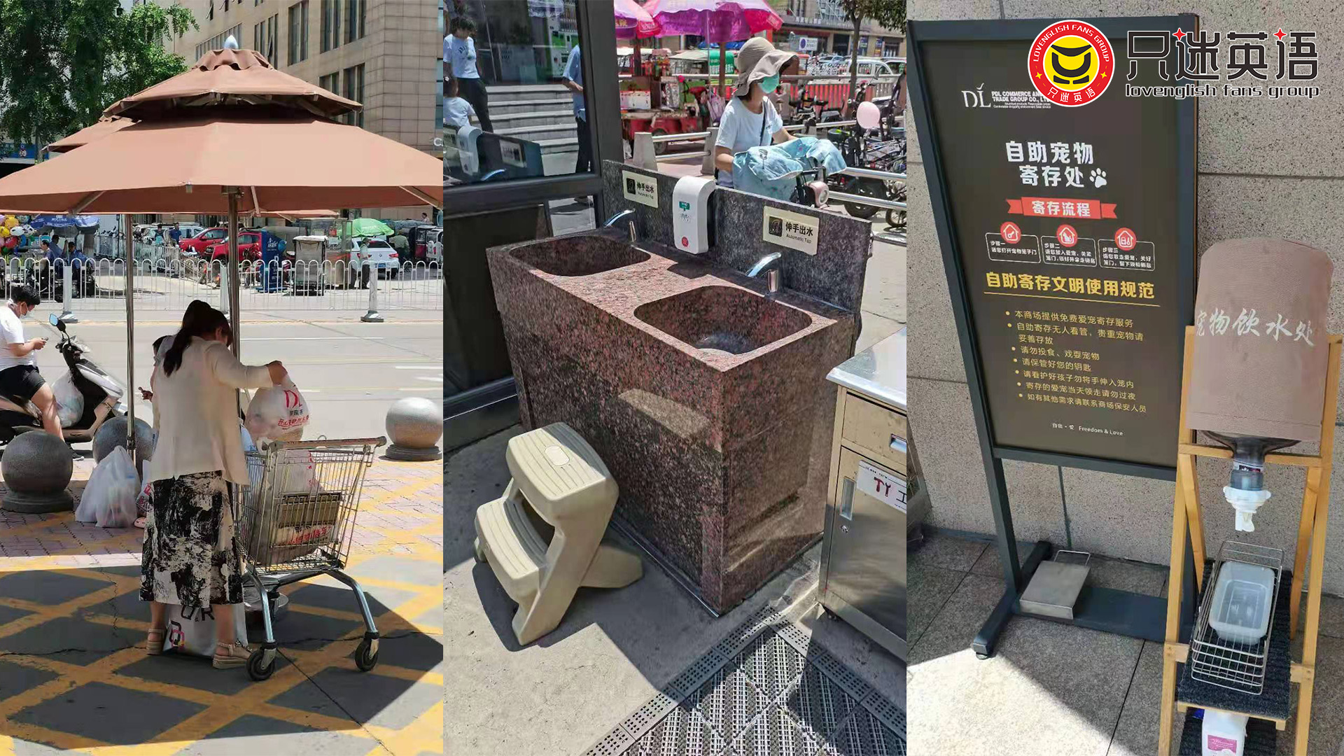 只迷英语-河南许昌胖东来学习体验