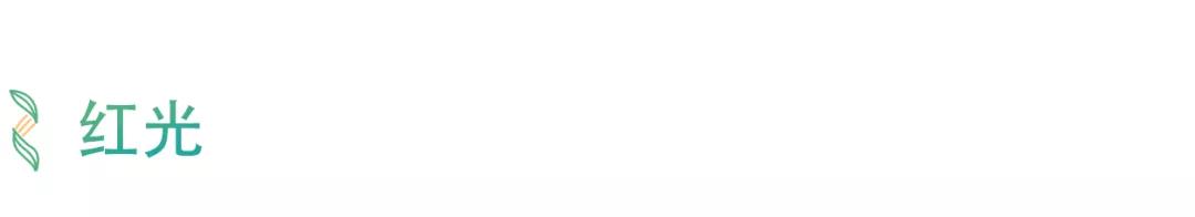 最新款射频美容仪,最好用的家用射频美容仪器