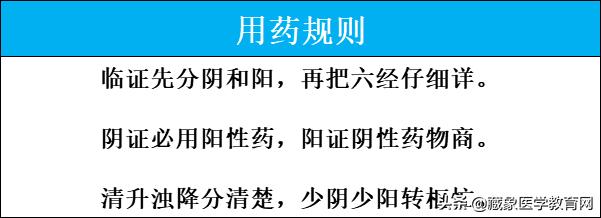 中医辩证用药——阴阳诀(内含重点:阴阳与用药关系图)