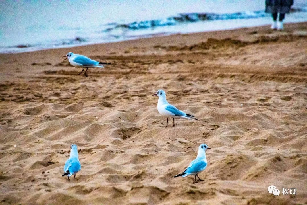 北戴河房车自驾游攻略,南戴河房车自驾游