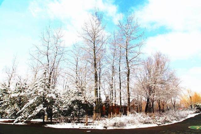 冬天去北京看雪景哪里最好最美呢,收藏北京