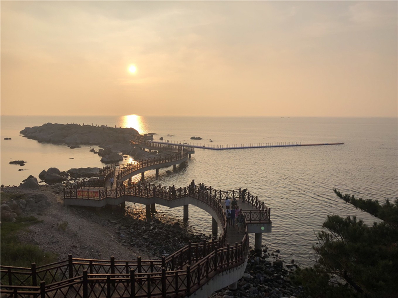 山东省11个5a级景区免费,山东景区排名前十名一日游