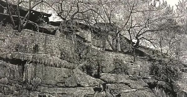 带有中国特色的剪纸画欣赏,中国民间剪纸艺术作品展