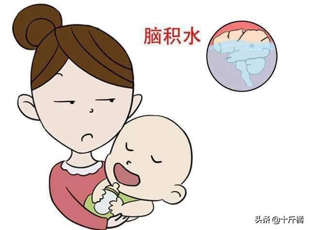 弓形虫不治会有什么危害,弓形虫是孕妇和胎儿的大敌