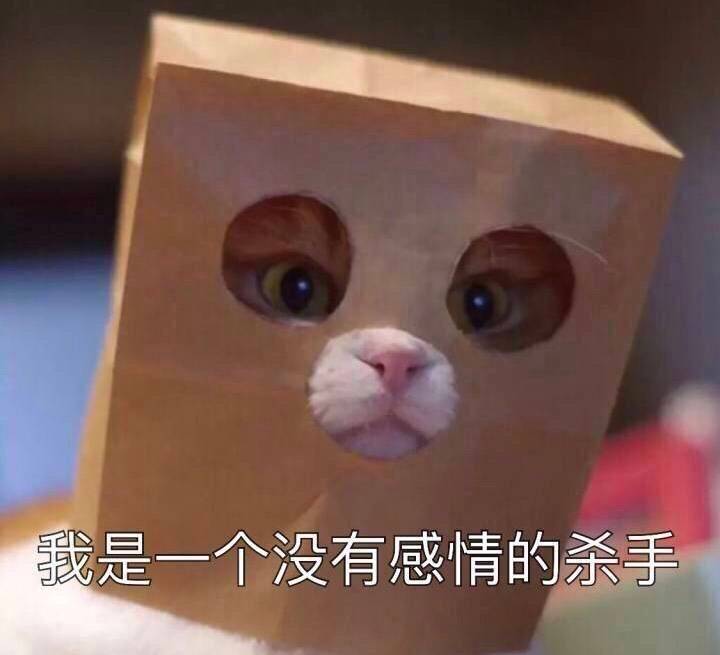 猫咪可以吃哪些植物,猫咪可以吃什么蔬菜化毛
