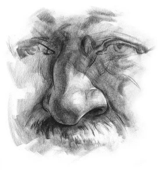 美术速写鼻子教学,美术绘画鼻子教学