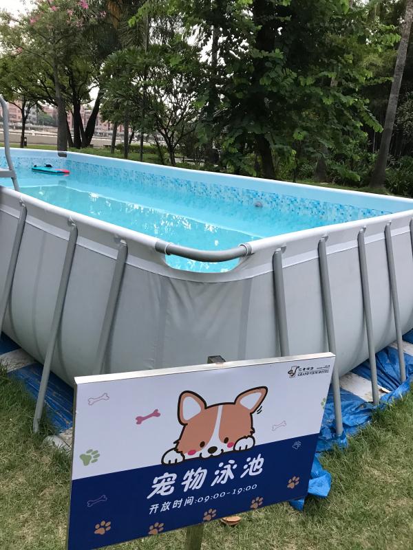 带宠物住酒店攻略,带宠物住什么酒店好