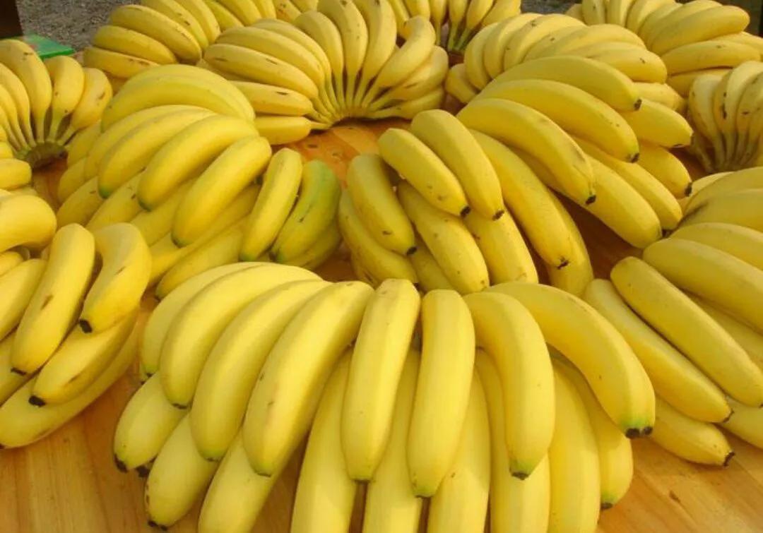 中国常见水果品种图片及名称,常见的水果种类100种名称