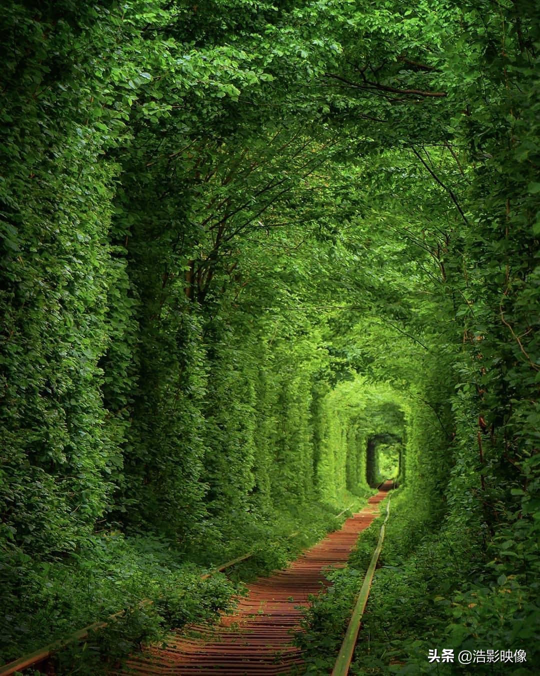 光学变焦混合变焦数字变焦的区别,数码变焦与光学变焦的区别