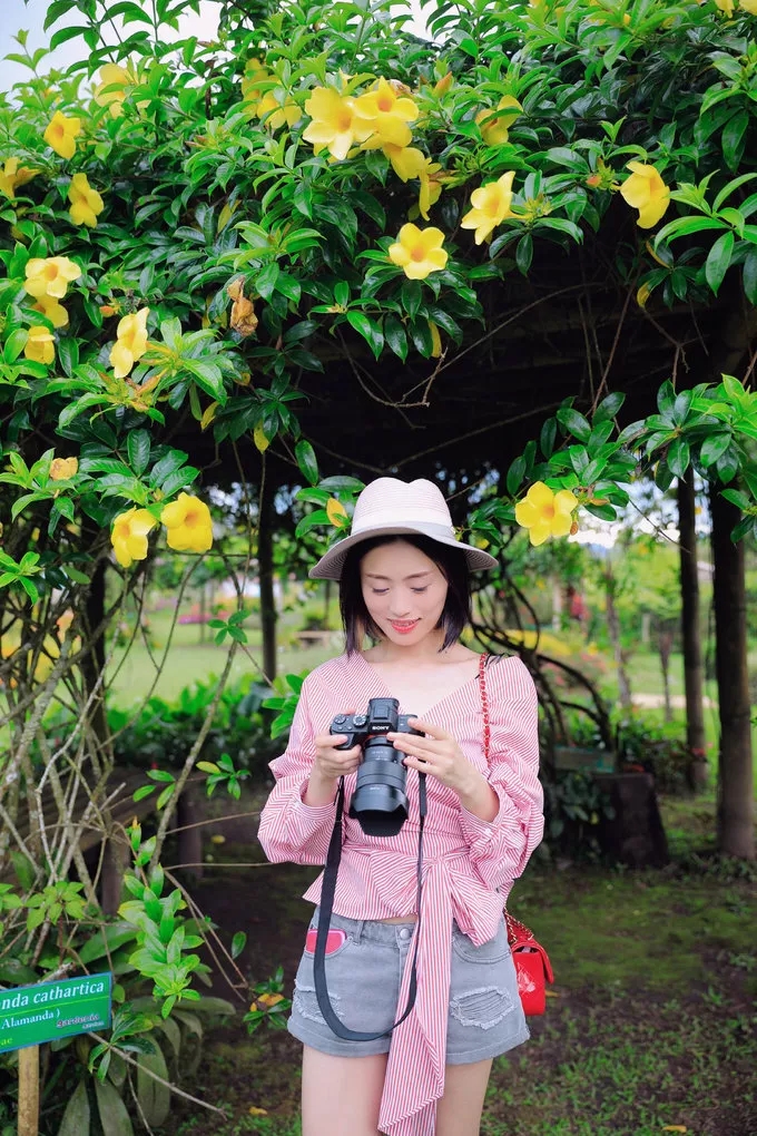 美娜多出海的图片,美娜多成为潜水天堂的原因