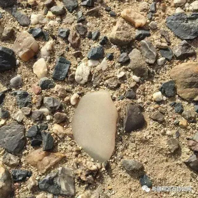 戈壁滩捡玉怎么分辨玉和石头,金丝玉三剑客戈壁滩捡金丝玉