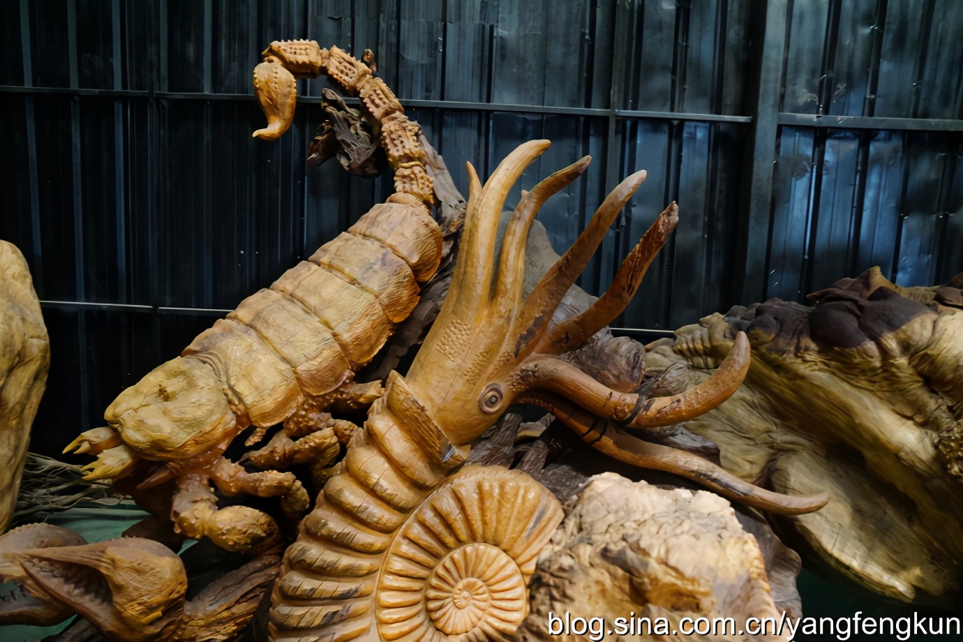 世界上最大的蜗牛介绍,全世界最大的蜗牛