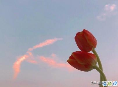 快手社会说说句子霸气,最新快手霸气拽一点的句子说说