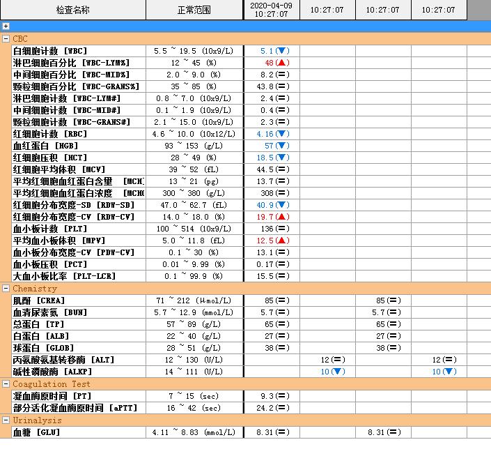 猫咪贫血可以输液了吗,猫咪贫血吃补血肝精多久能好