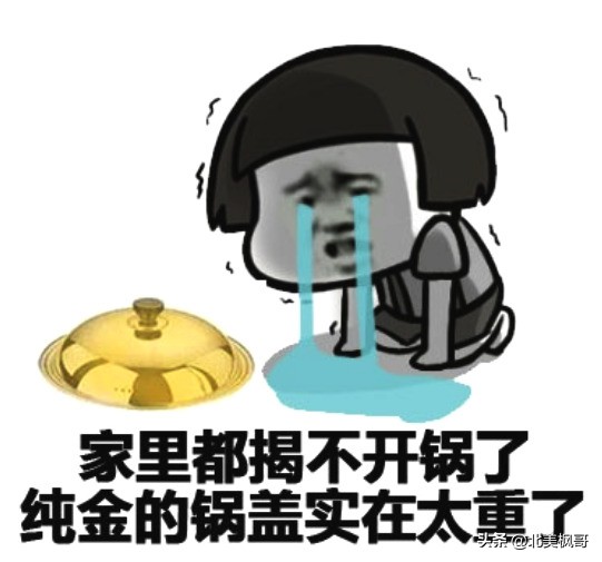 买加拿大鹅的人都是什么心理,加拿大鹅到底值不值得买