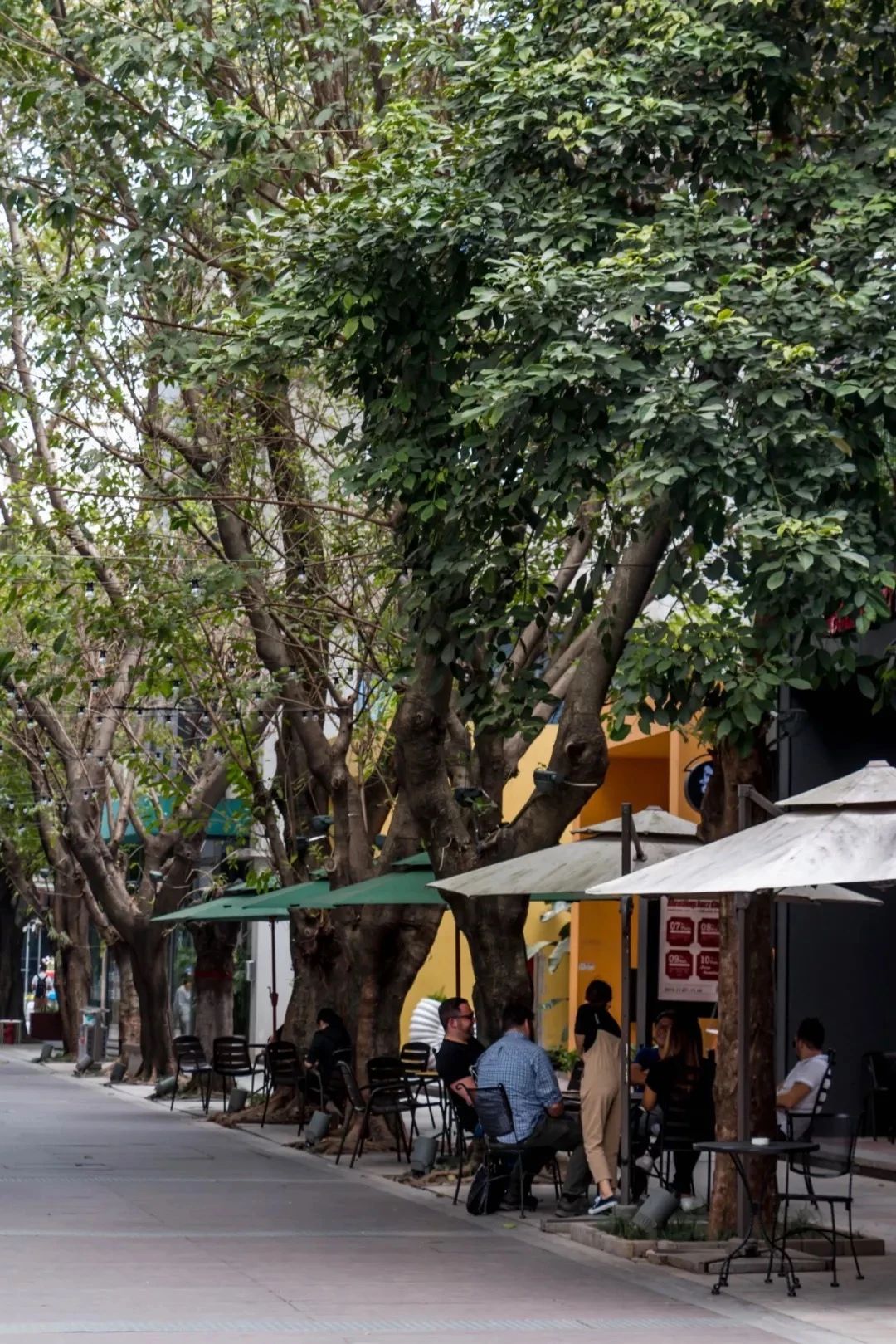 深圳10大旅游好去处,深圳盐田区周末休闲浪漫好去处