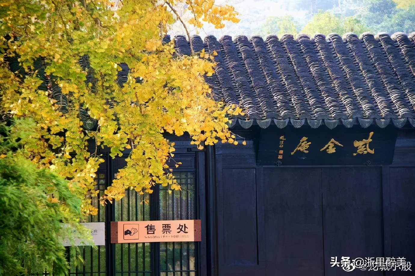 《橘子红了》拍摄地风光正当时！苏州吴中东山美食美景等你来