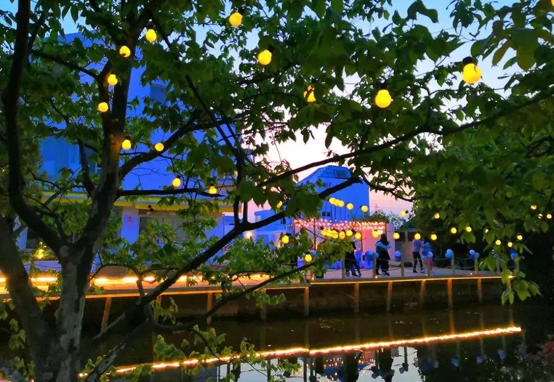 去上海必去的民宿,上海树林民宿推荐