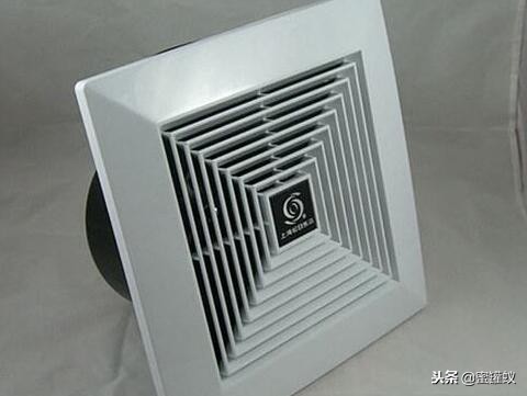 卫生间有小飞虫和臭味怎么解决,卫生间水盆下边反臭味怎么解决