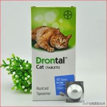 幼猫十大禁忌事件,幼猫要怎么驱虫和疫苗