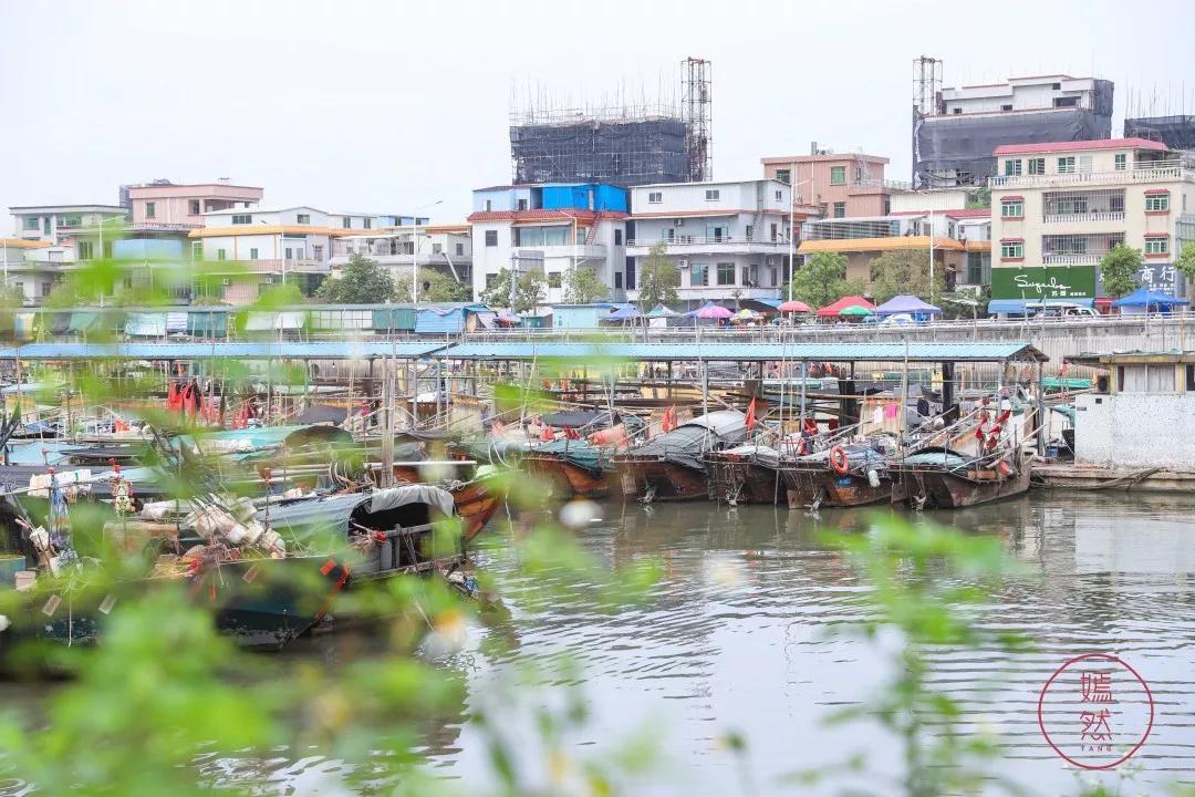 虎门新湾鸡煲,虎门新湾十大老字号美食
