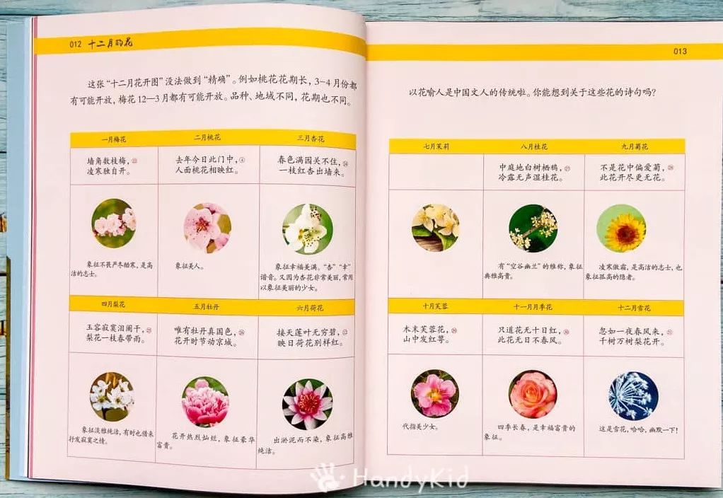 诗词死记硬背真可惜!小学语文特级老师,教娃解锁诗词学习新方法