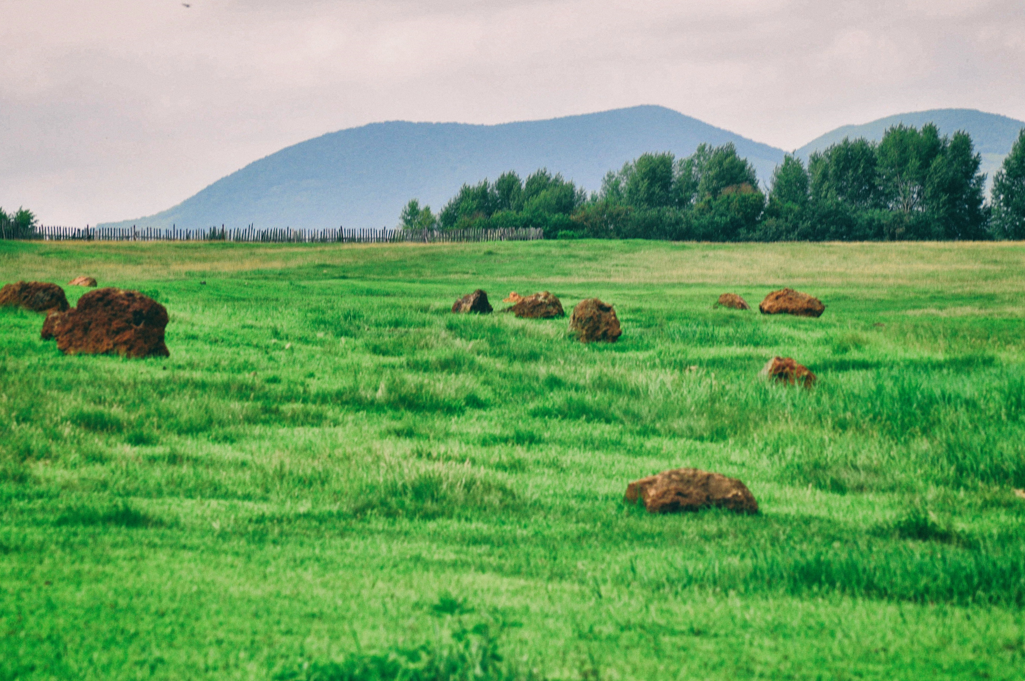 南方人自驾来东北是啥体验,15天一万公里的新疆感受