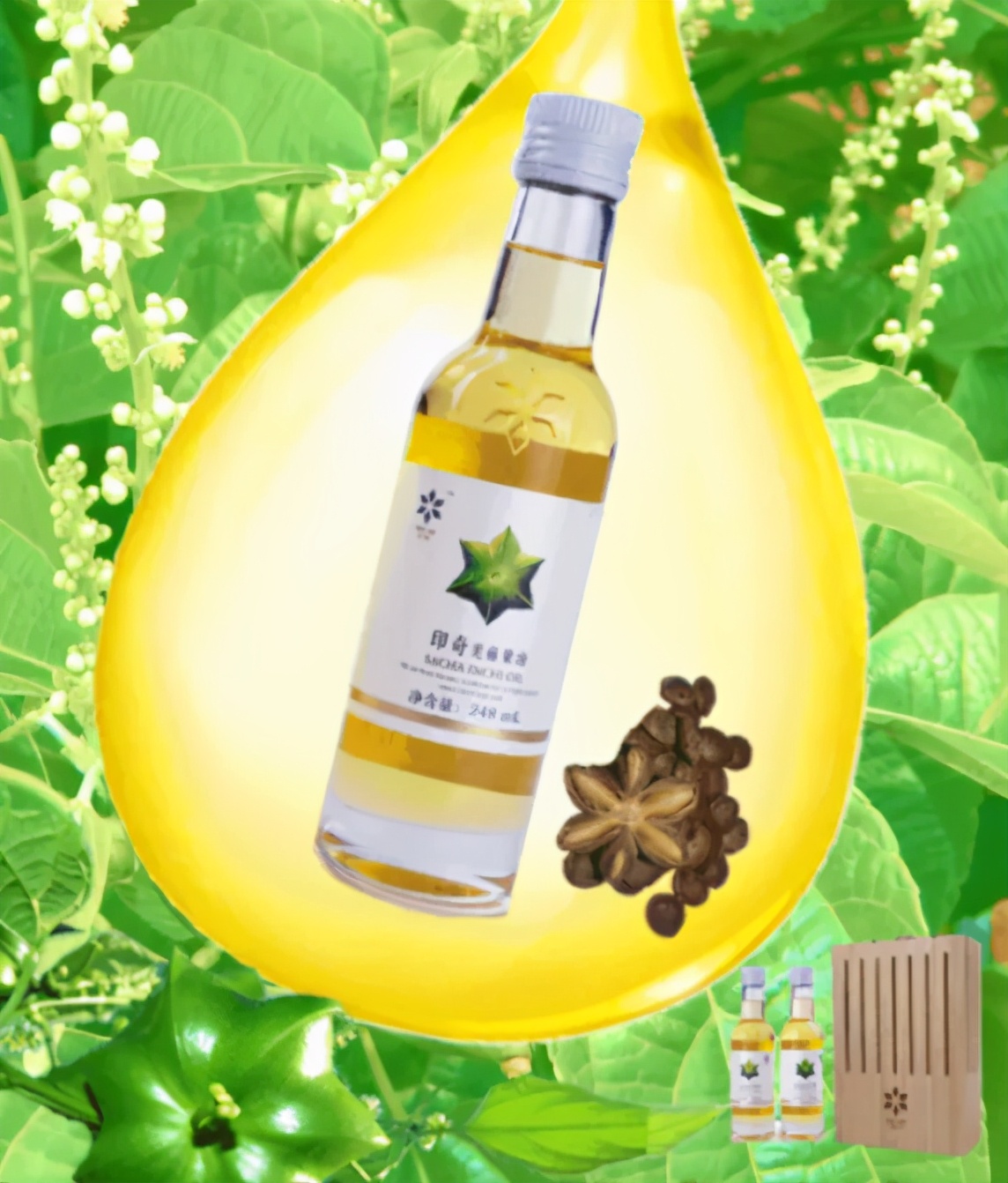 美腾果油什么作用,美藤黄果油