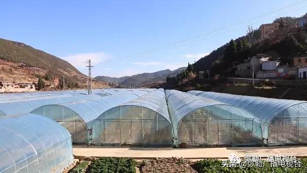 弥勒这一家子,穷!穷!富!富