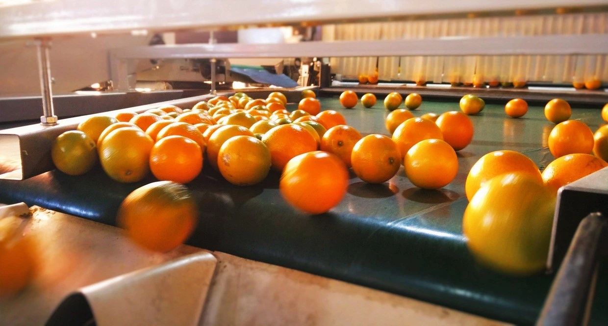 广西水果自由,水果自由