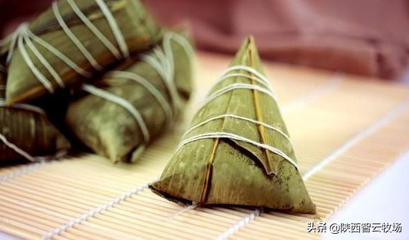 智慧牧业｜朱合作：谜语之树