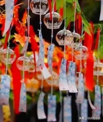 郫都区最美的花海,成都郫都花乡玫瑰开放了吗