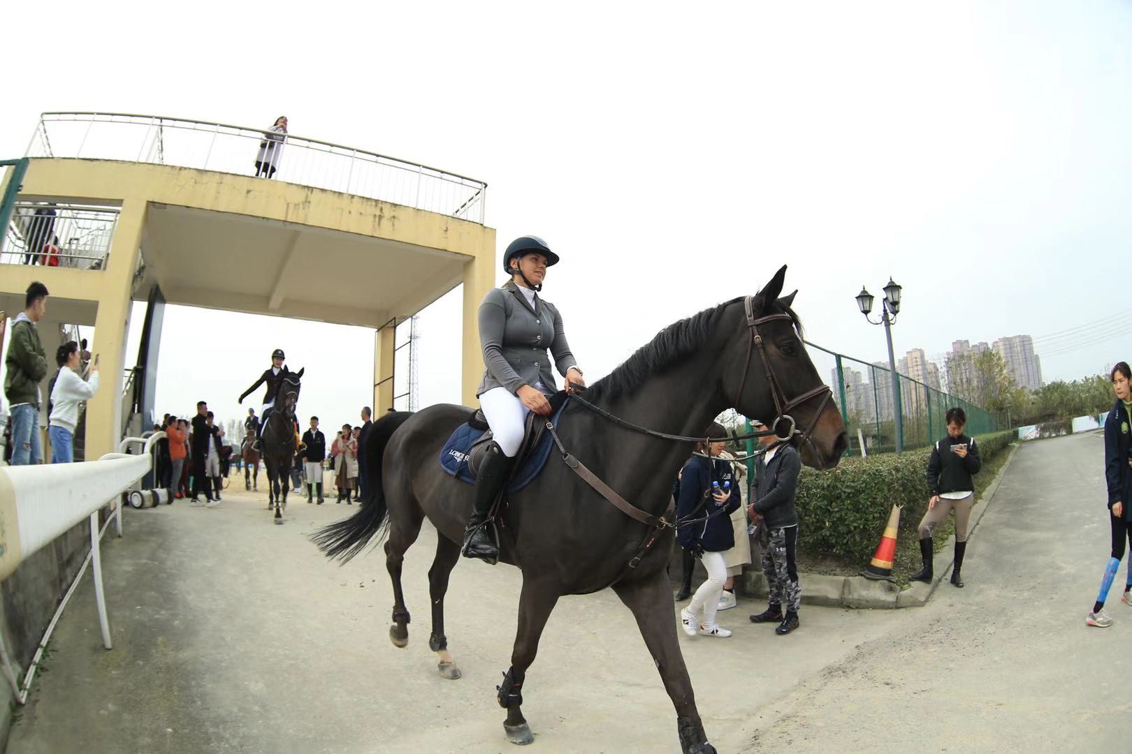 2019閲戞俯姹熻タ閮ㄩ┈鏈槈骞村崕,閲戞俯姹熼┈鏈槈骞村崕