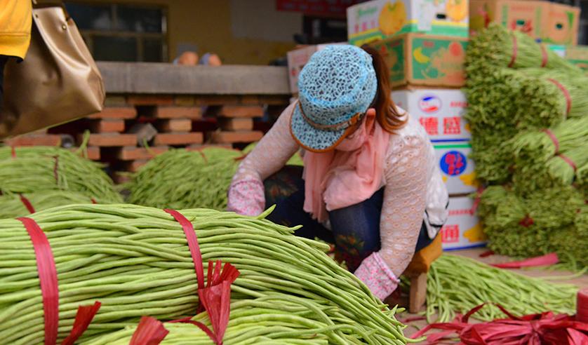 豇豆到底是白豇豆还是青豇豆,红豇豆与白豇豆的区别