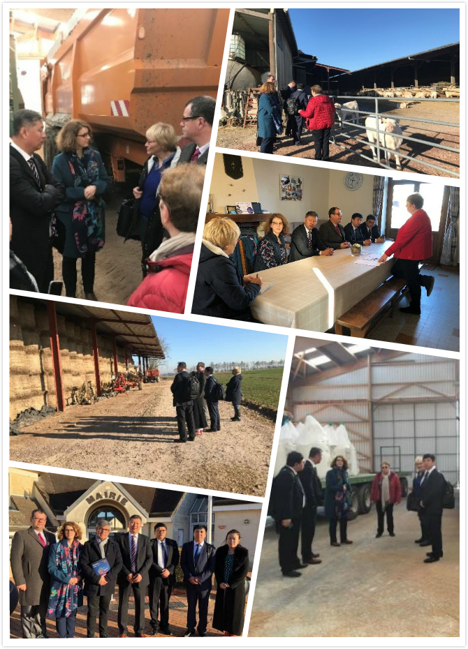 走进法国的感悟,走进法国教科书