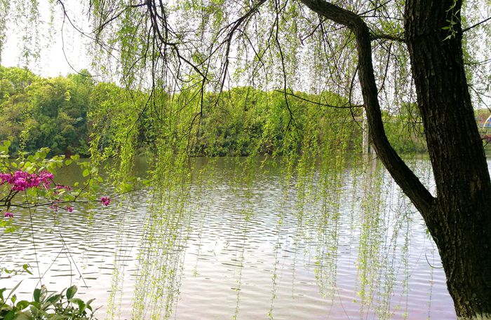 美丽的南湖公园夜景,南湖风景区真的太美了