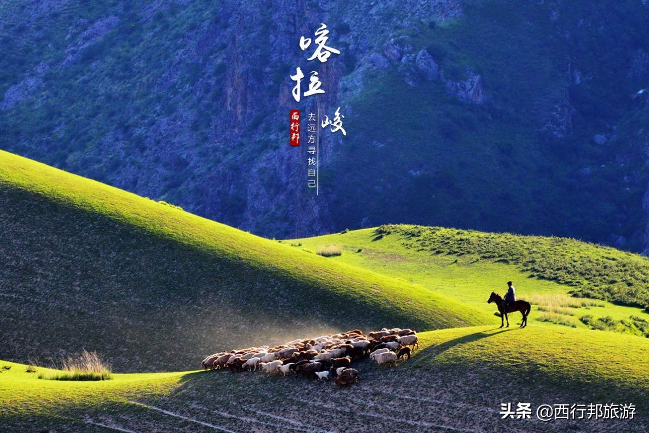 哼，又想「骗」我去*疆新**旅游！