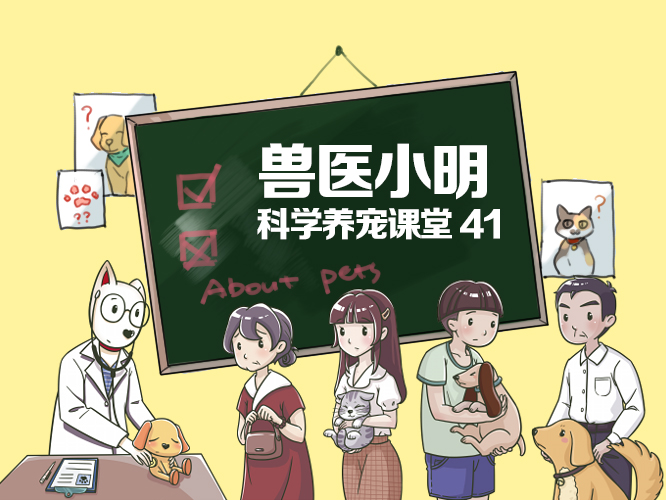 捏后颈、贴芝士、画圈圈,这些猫咪封印术居然都是有科学依据的?