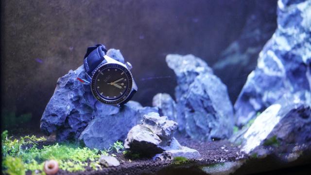 劳力士潜水表宝珀 (劳力士潜航者和宝珀五十噚哪个好)