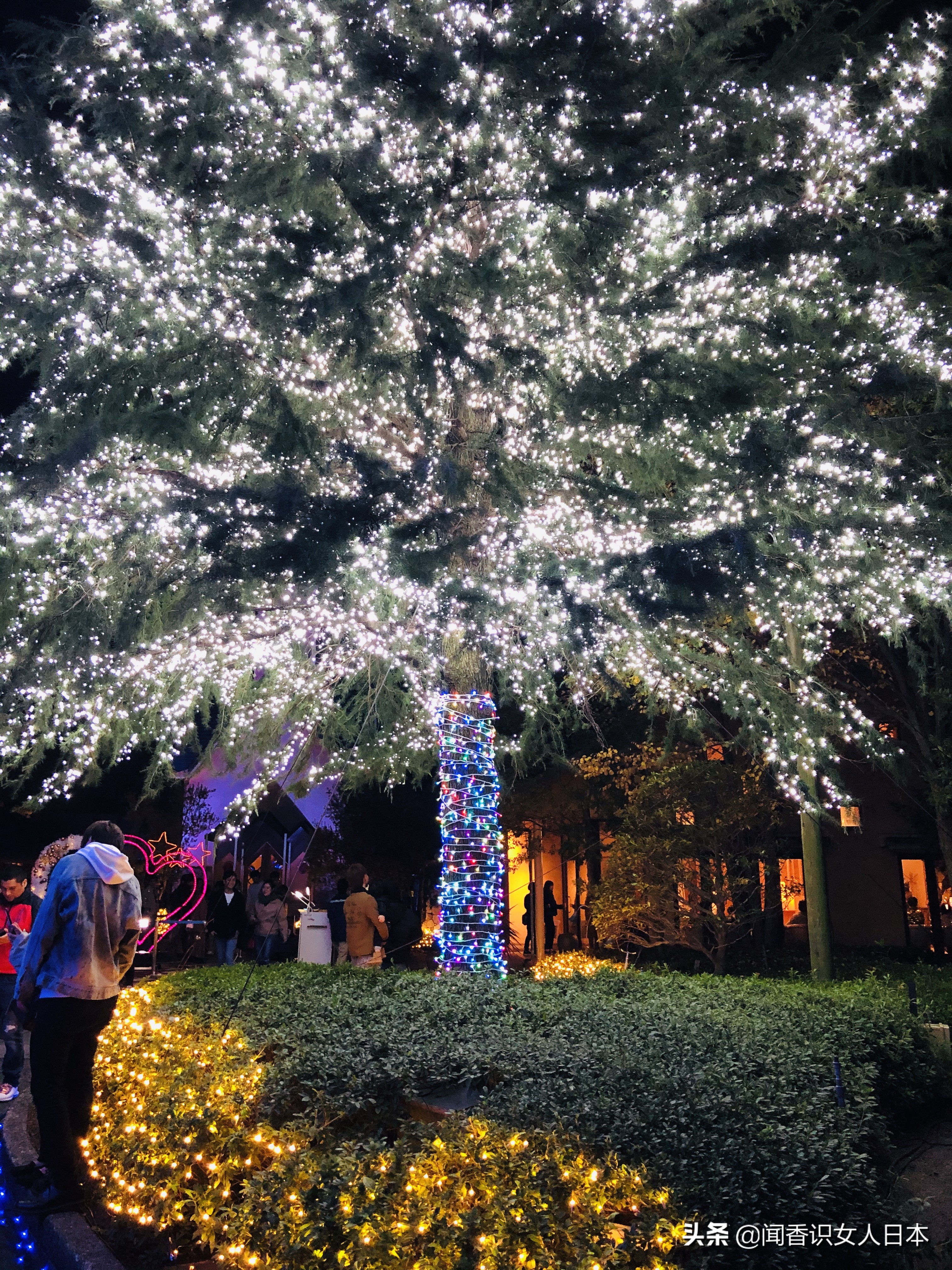 日本最美夜景,日本最美水上光影隧道