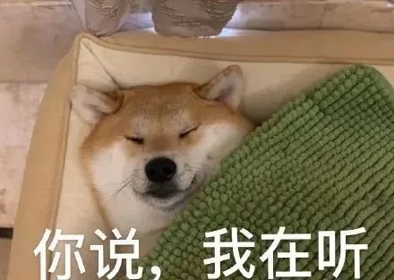 狗狗第一次来姨妈很肿,狗狗第一次来姨妈拉肚子