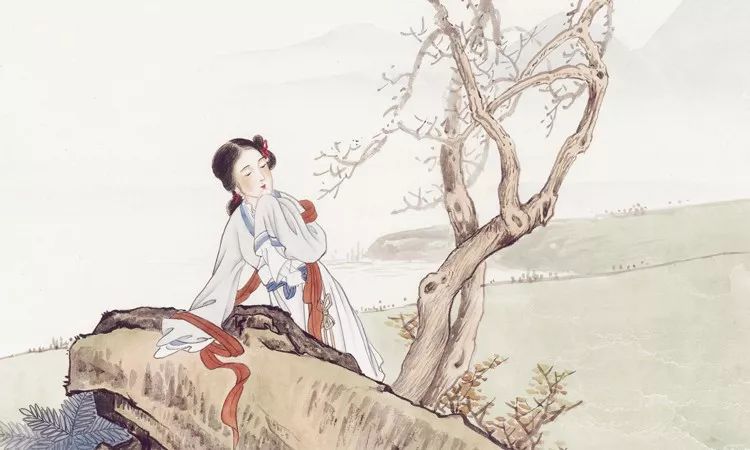 贺双卿李清照,贺双卿与李清照